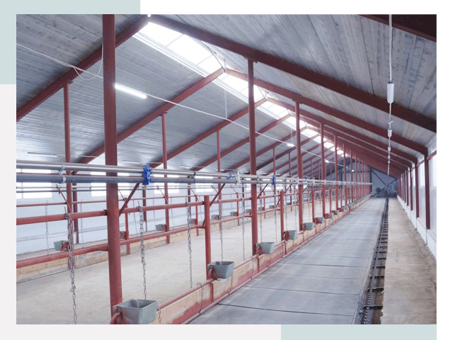 Строительство коровников в Новокузнецке от 616 руб.