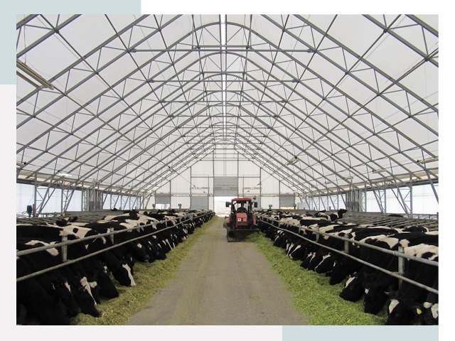 Тентовые коровники в Новокузнецке от 616 руб. - Надежно и доступно